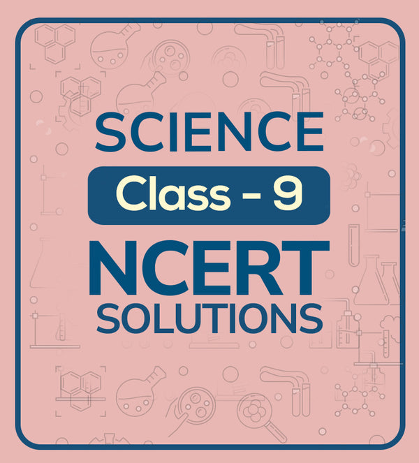 NCERT Solutions