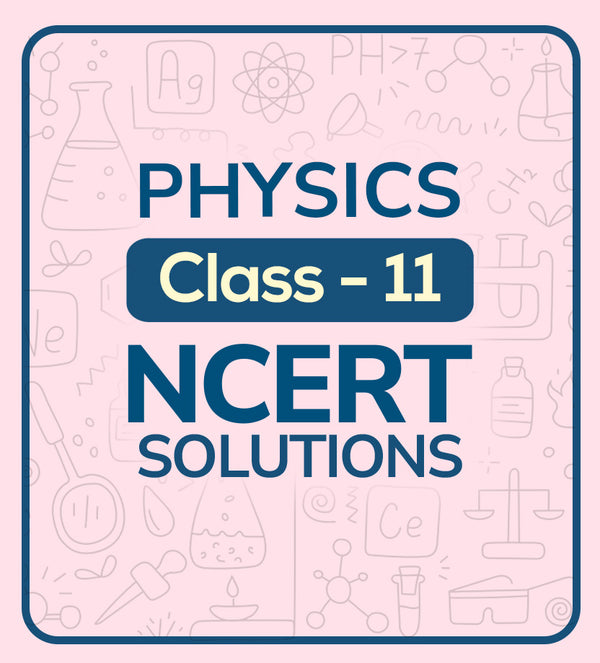 NCERT Solutions