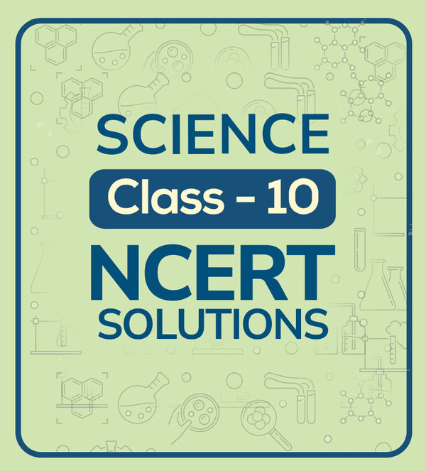 NCERT Solutions
