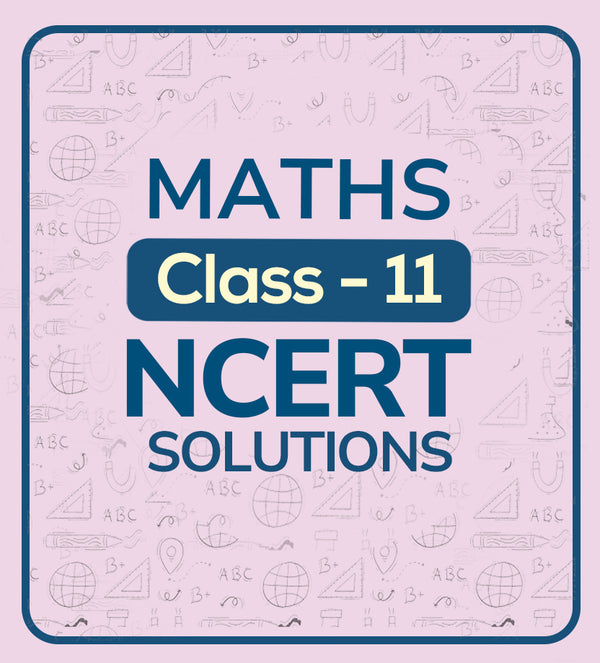NCERT Solutions